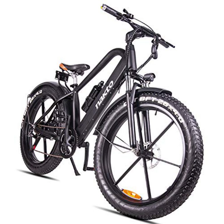 fiido d1 klapprad elektrisches fahrrad e-bike 10 8ah